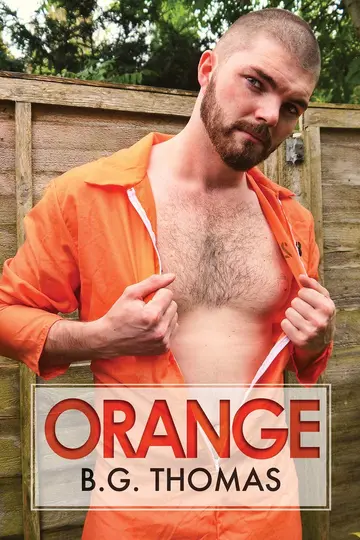 Cover of Orange