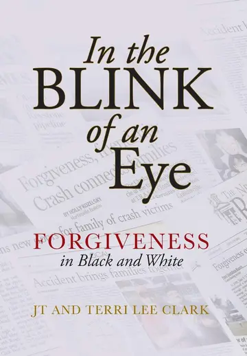 Cover of In the Blink of an Eye
