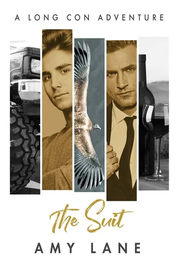 Cover of The Suit Volume 4