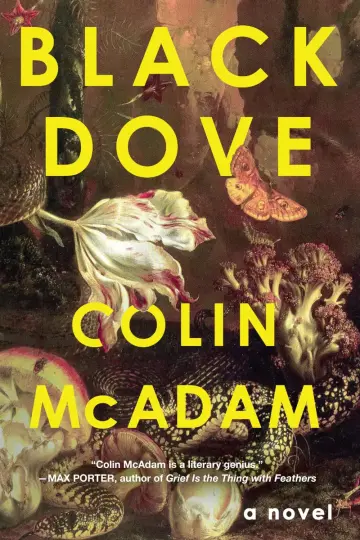 Cover of Black Dove
