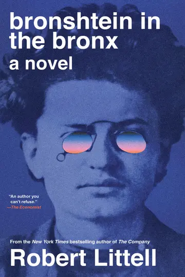Cover of Bronshtein in the Bronx