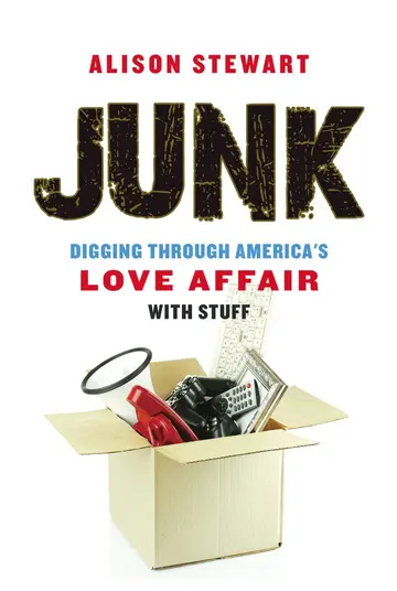 Cover of Junk