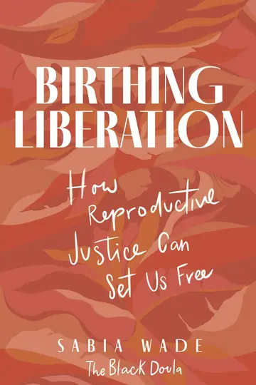 Cover of Birthing Liberation