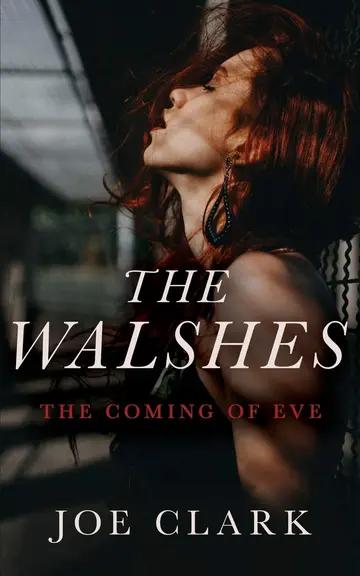 Cover of The Walshes