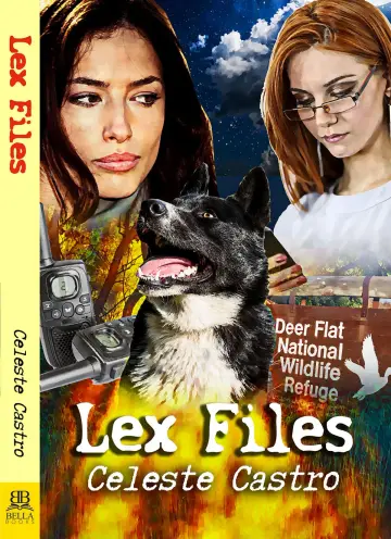 Cover of Lex Files