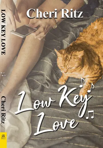 Cover of Low Key Love