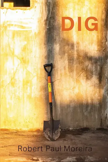 Cover of Dig