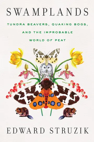 Cover of Swamplands