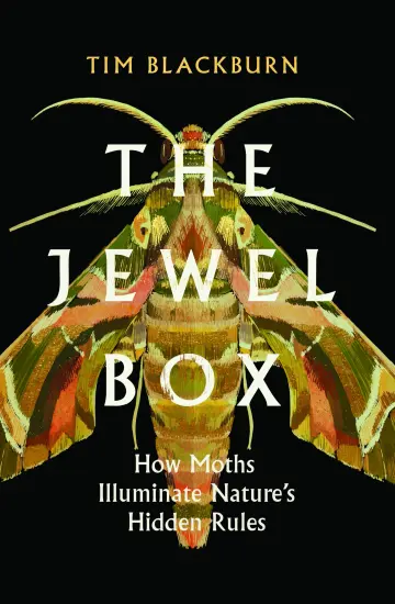 Cover of The Jewel Box