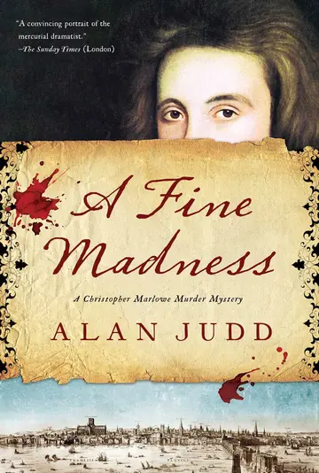 Cover of A Fine Madness