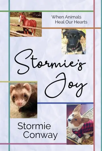 Cover of Stormie's Joy