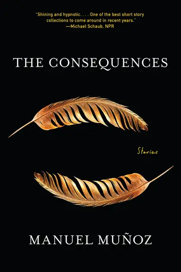 Cover of The Consequences