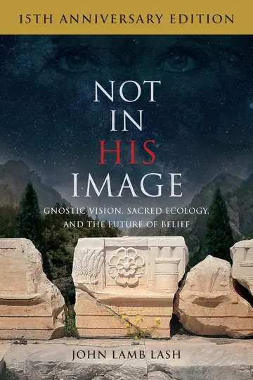 Cover of Not in His Image