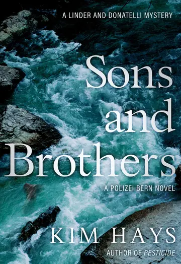 Cover of Sons & Brothers