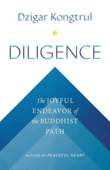 Cover of Diligence