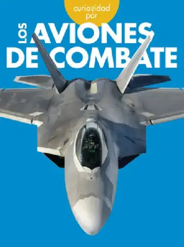 Cover of Curiosidad Por Los Aviones de Combate
