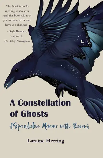 Cover of A Constellation of Ghosts