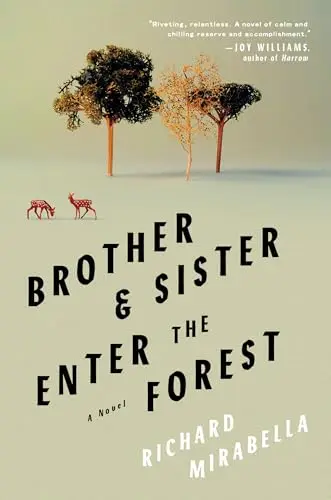 Cover of Brother & Sister Enter the Forest