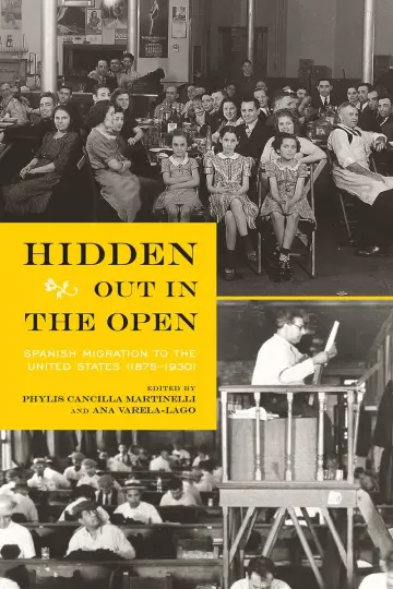 Cover of Hidden Out in the Open