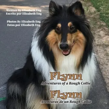Cover of Flynn