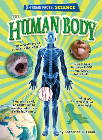 Cover of The Human Body