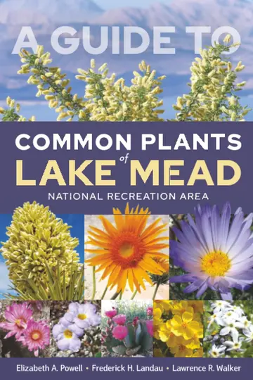 Cover of A Guide to Common Plants of Lake Mead National Recreation Area