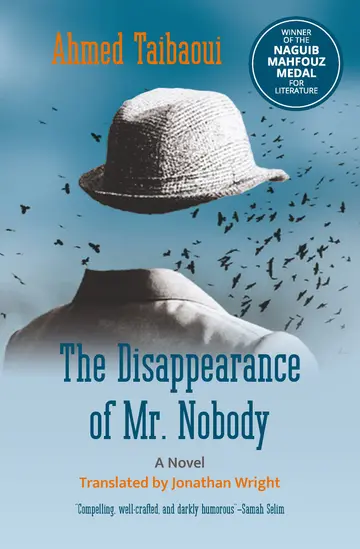 Cover of The Disappearance of Mr. Nobody