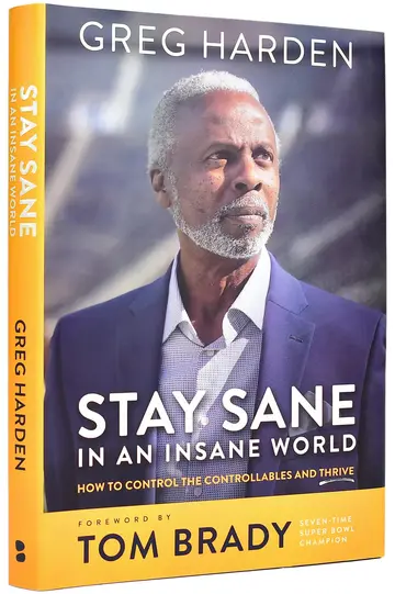Cover of Stay Sane in an Insane World