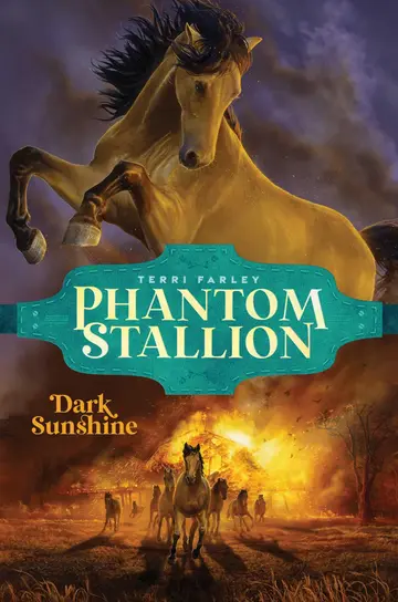Cover of Dark Sunshine