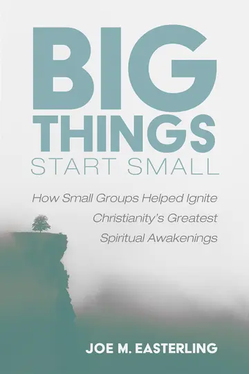 Cover of Big Things Start Small