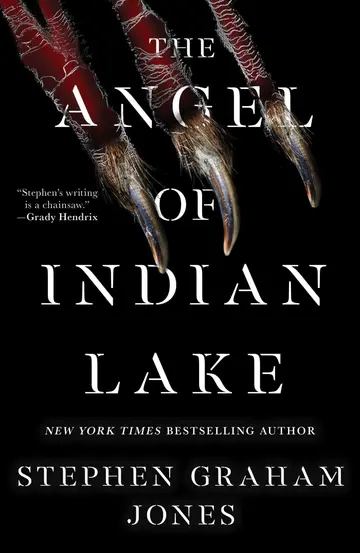 Cover of The Angel of Indian Lake