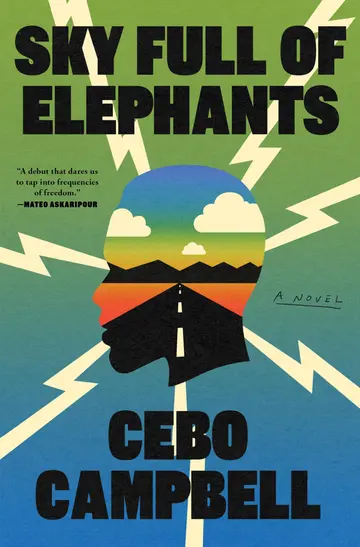 Cover of Sky Full of Elephants