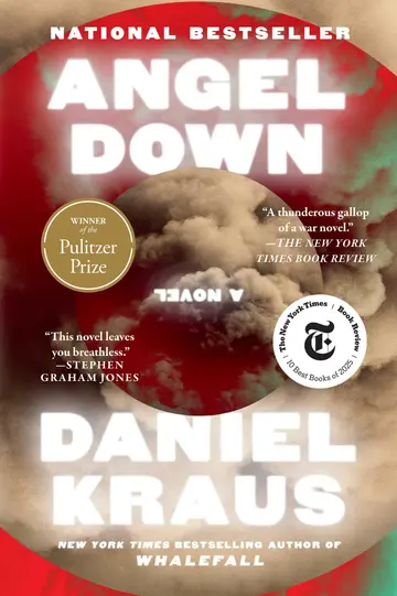 Cover of Angel Down