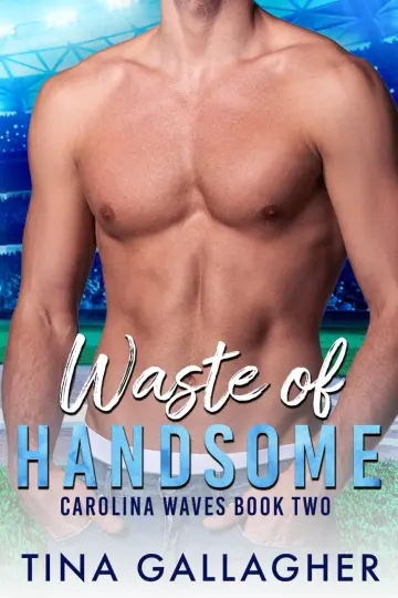 Cover of Waste of Handsome
