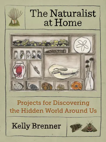 Cover of The Naturalist at Home