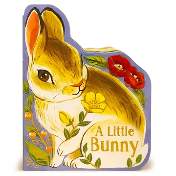 Cover of A Little Bunny