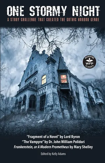 Cover of One Stormy Night