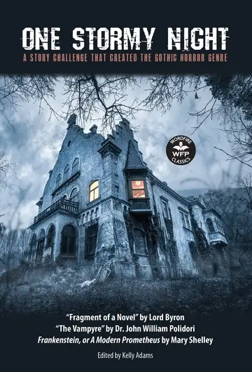 Cover of One Stormy Night