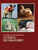 Cover of Illustrated Handbook of Animal Husbandry