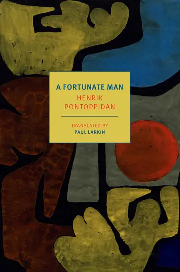 Cover of A Fortunate Man
