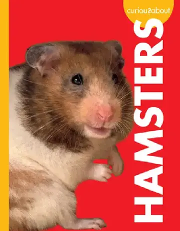 Cover of Curious about Hamsters