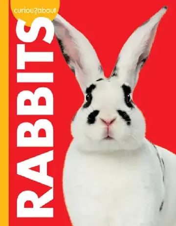 Cover of Curious about Rabbits
