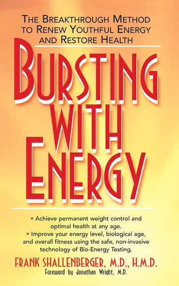 Cover of Bursting with Energy