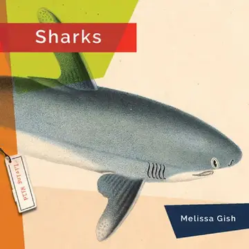 Cover of Sharks