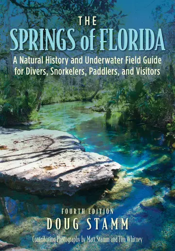 Cover of Springs of Florida