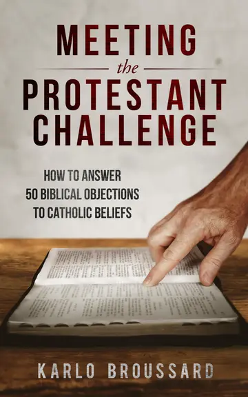 Cover of Meeting the Protestant Challenge