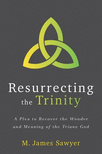 Cover of A Plea to Recover the Wonder and Meaning of the Tr iune God