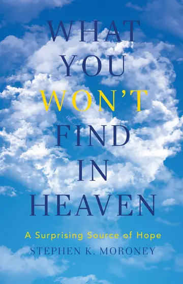 Cover of What You WON′T Find in Heaven