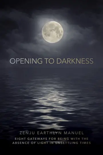 Cover of Opening to Darkness