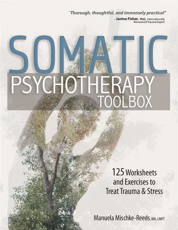 Cover of Somatic Psychotherapy Toolbox